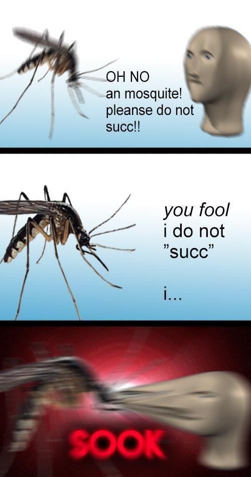 ​​​