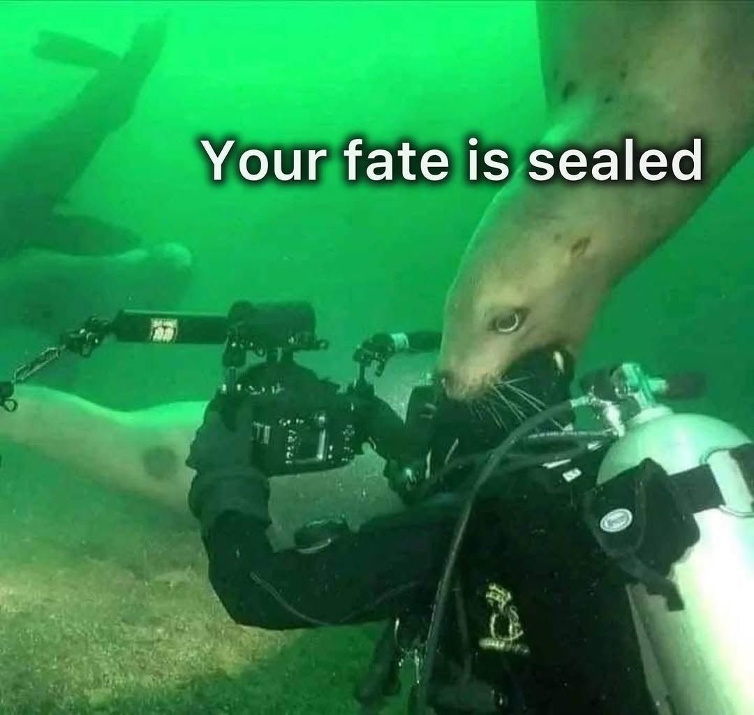 seal team six