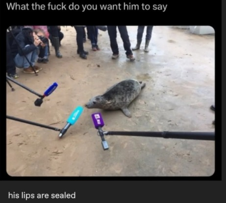 seal