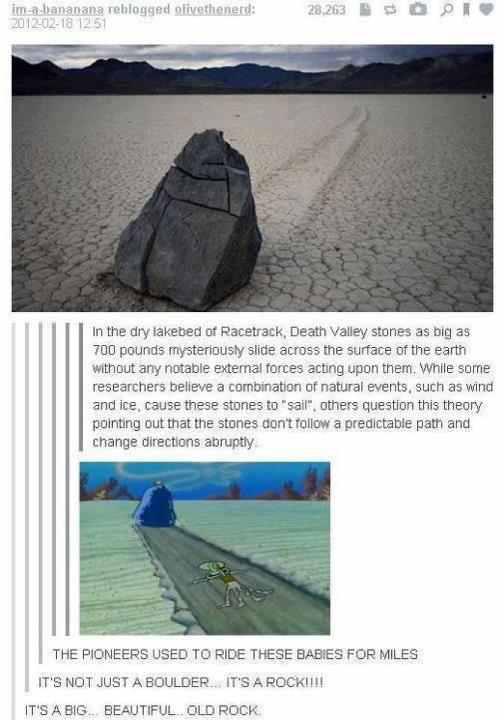 It's a rock!