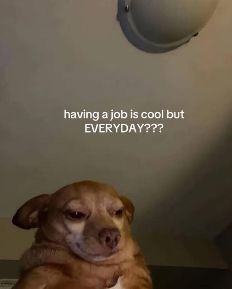 every year