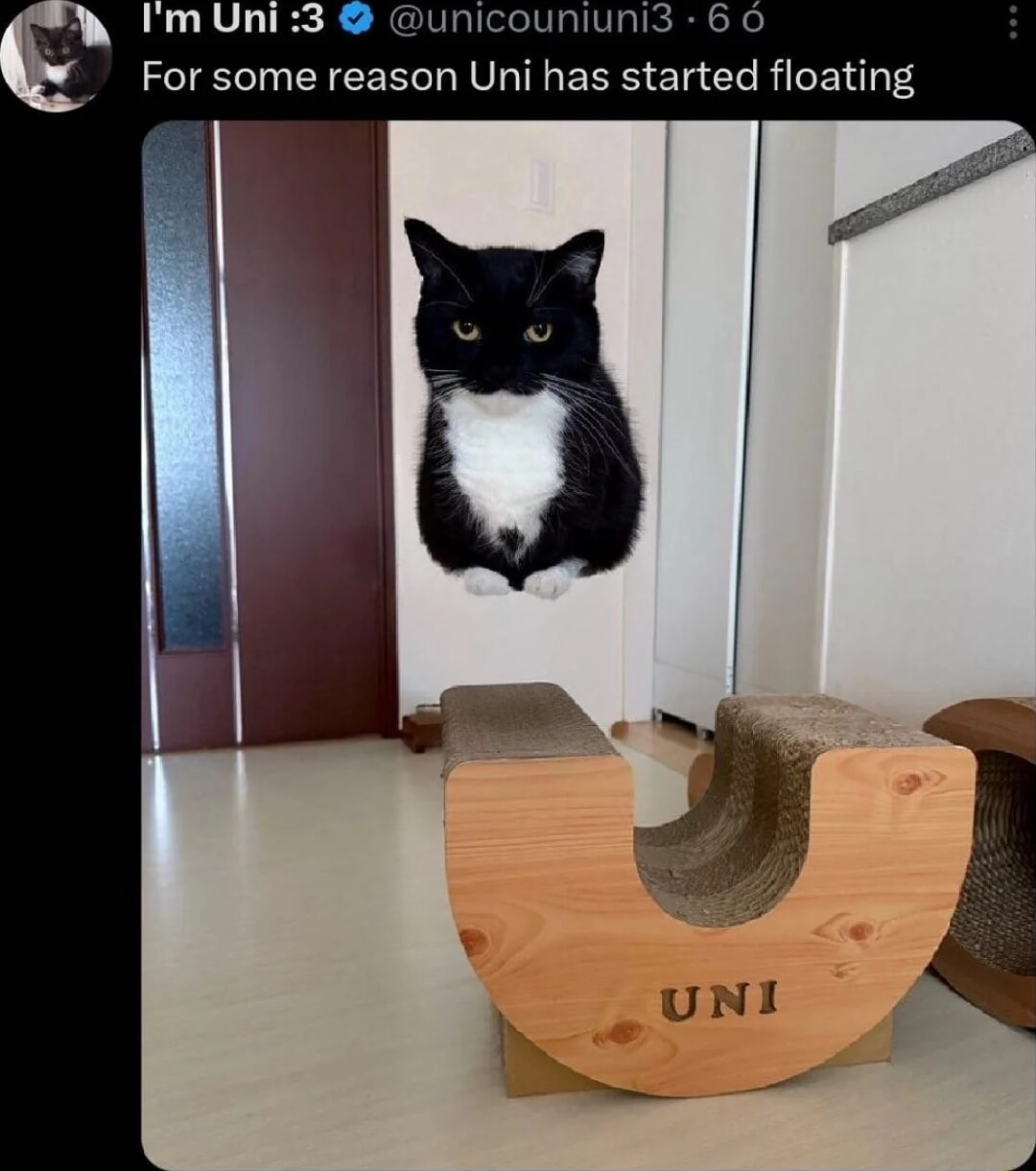​​​​