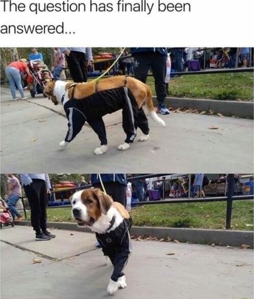 ​​​