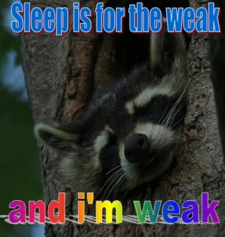 GN HL!