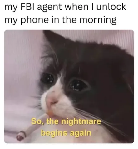 GM!