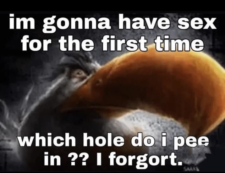 ​​​