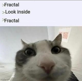 ​​​