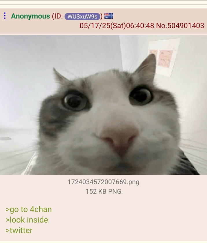 ​​​