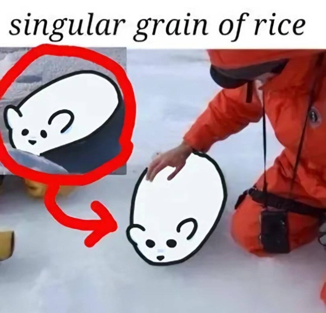 ​​​