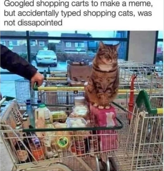 ​​​
