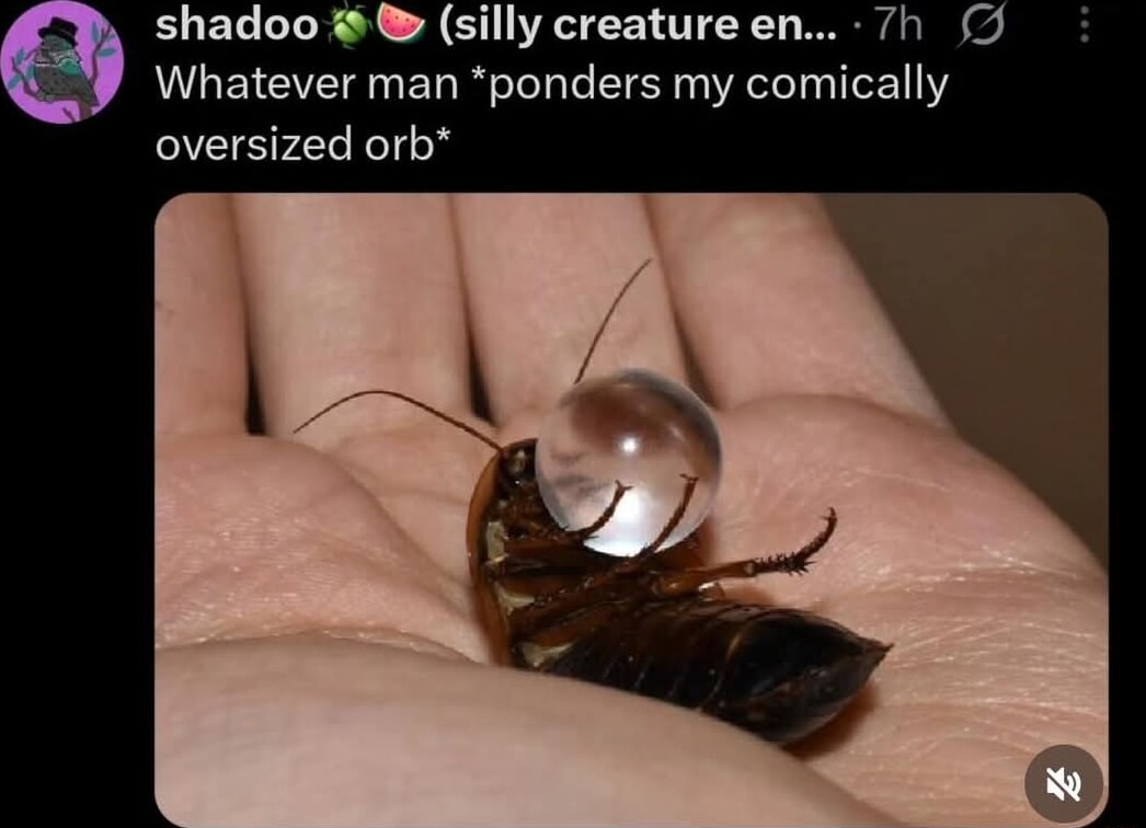 ​​​