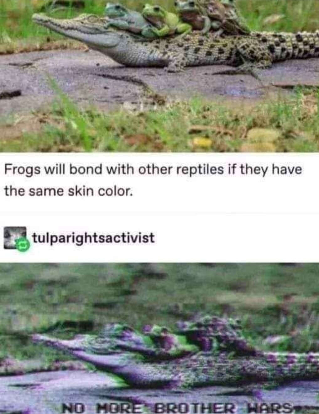 ​​​
