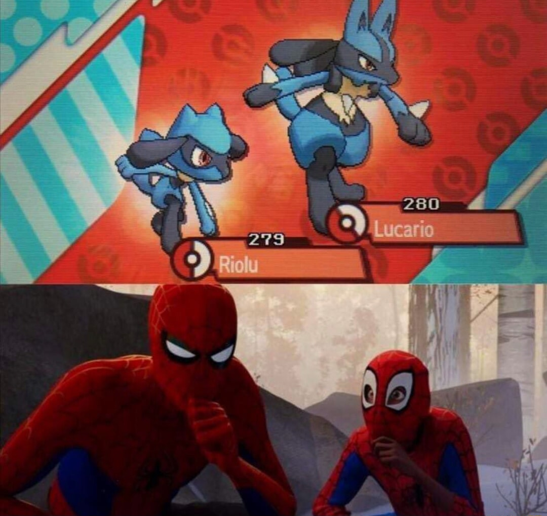 ​​​