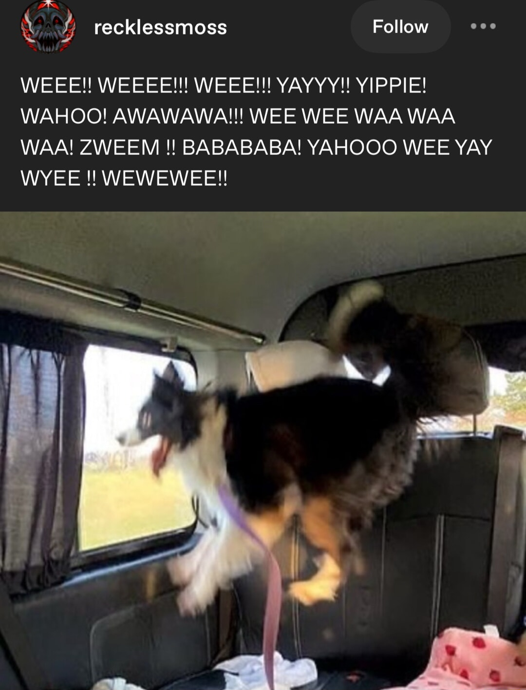 ​​​