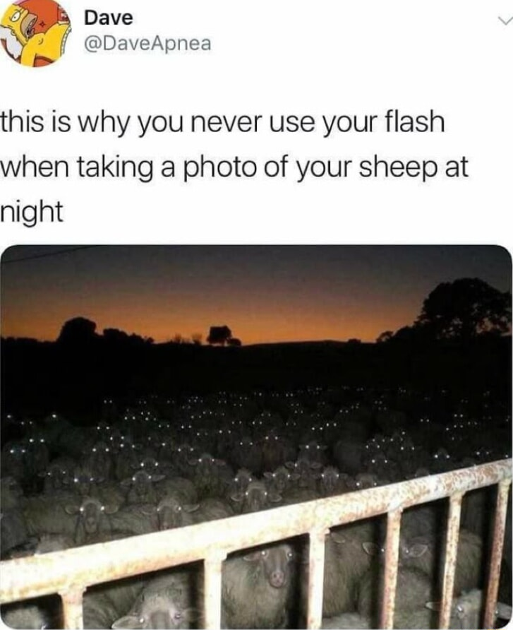 ​​​