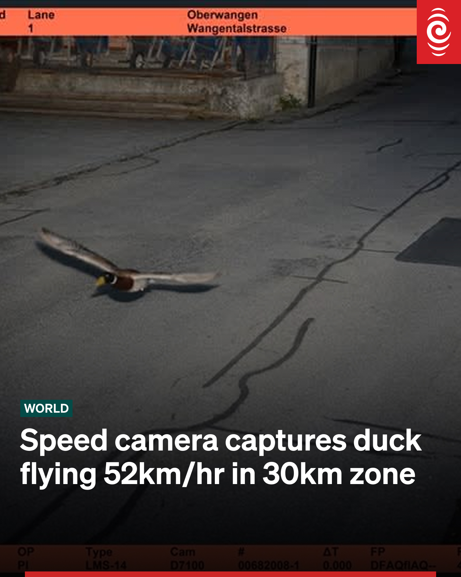 Wack, or Quack? You decide