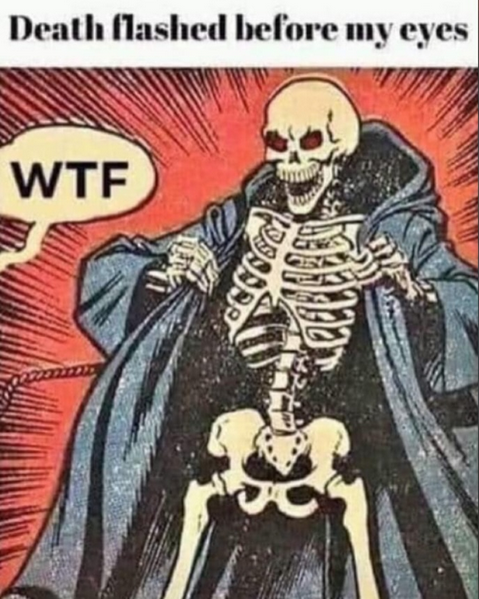 WTF