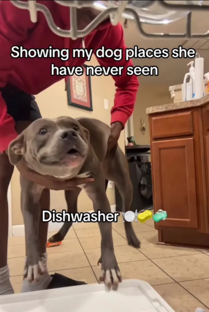 ​​​