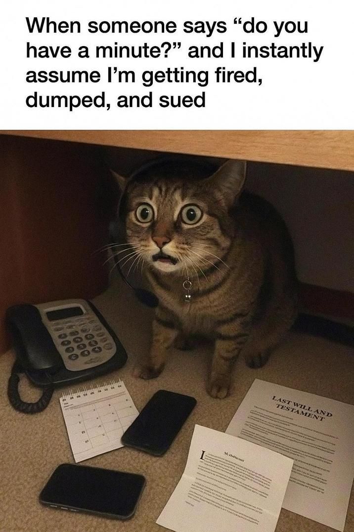 ​​​
