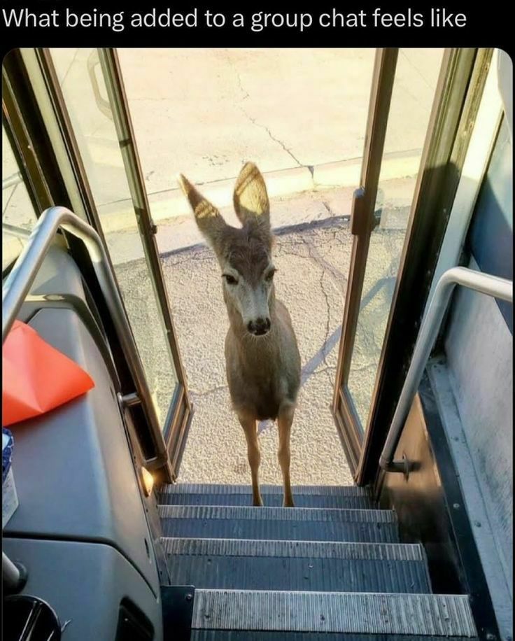 sup
