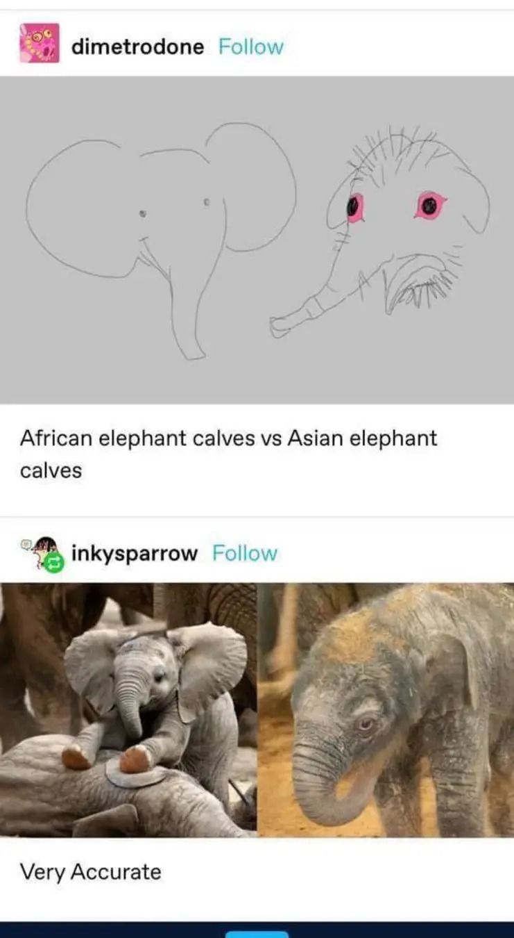 And they say all babies are cute