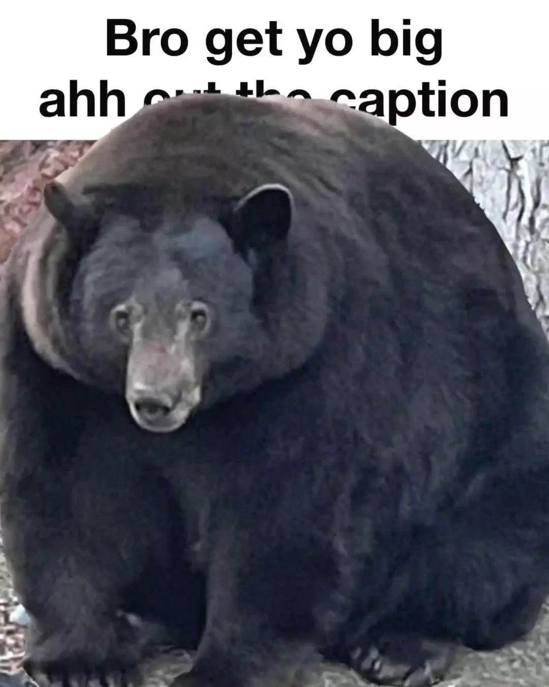 Where Grischnakh?