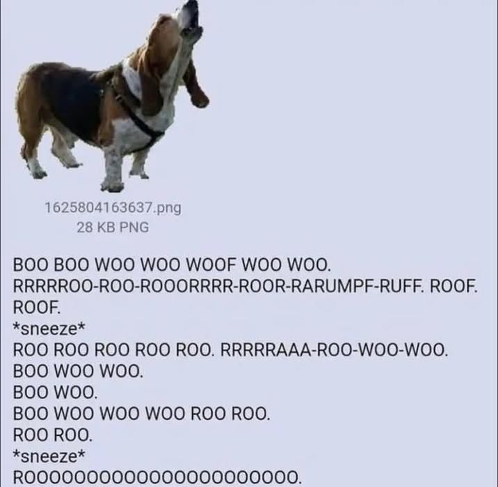 ​​​