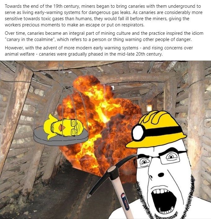 Canaryjak