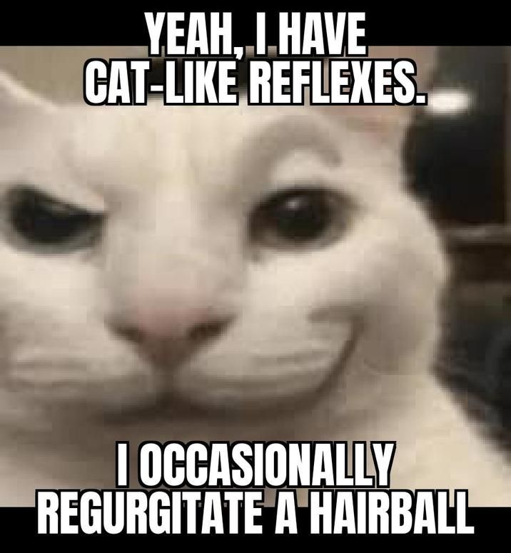 ​​​