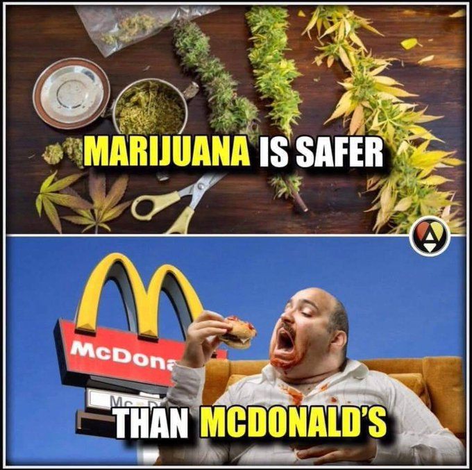 good thing I don't eat mcfastslop :)