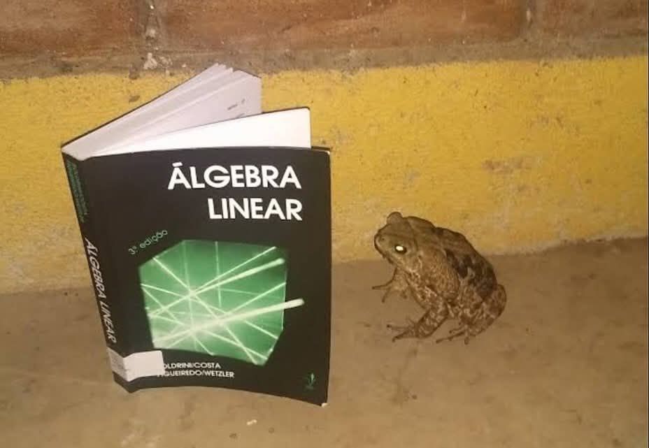 Book title translation: Linear Algebra