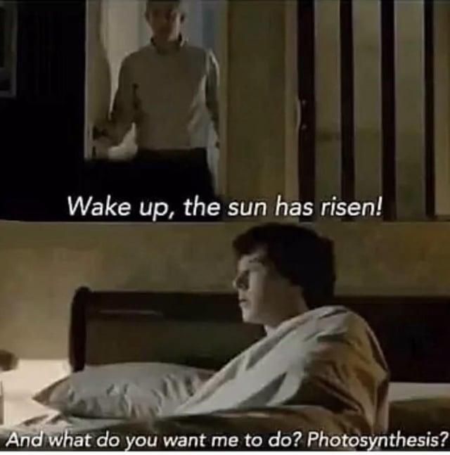 ​​​