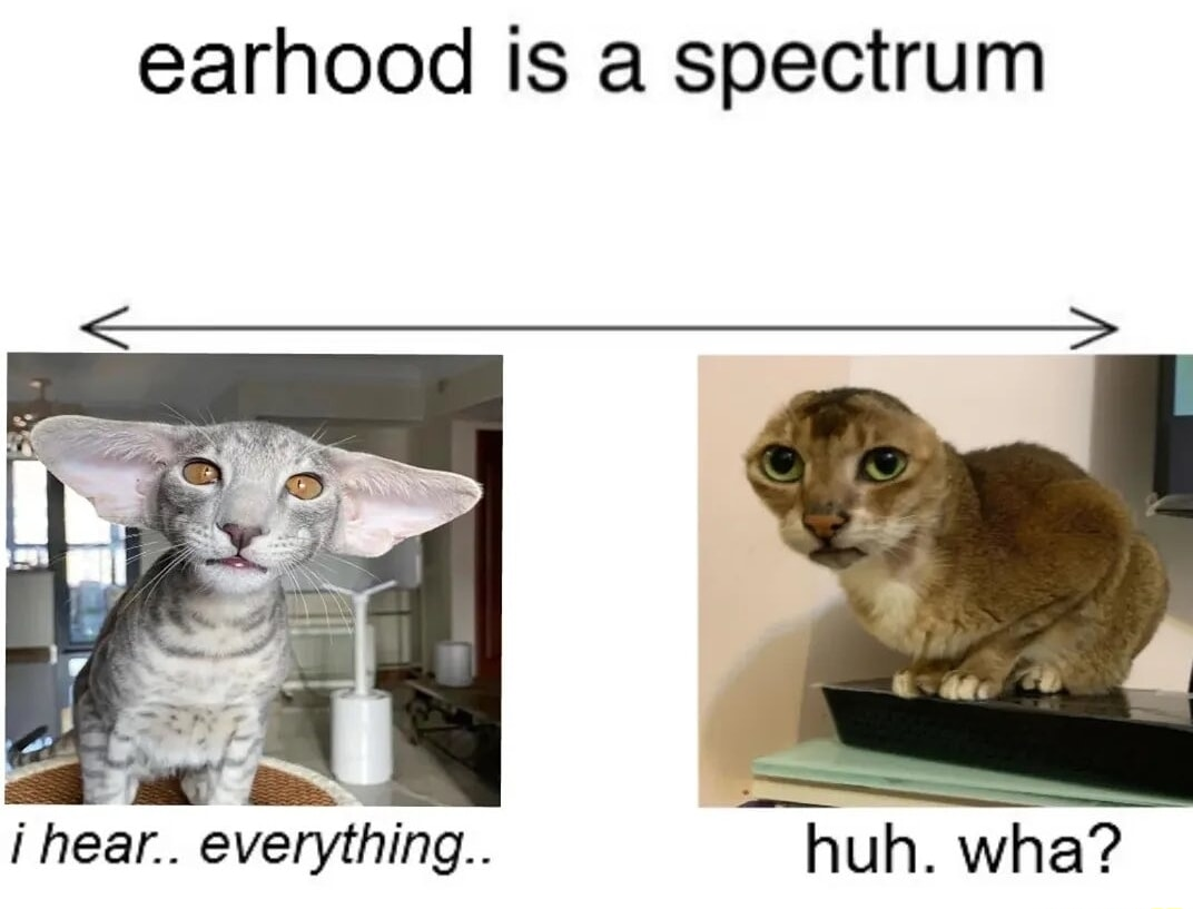 ​​​