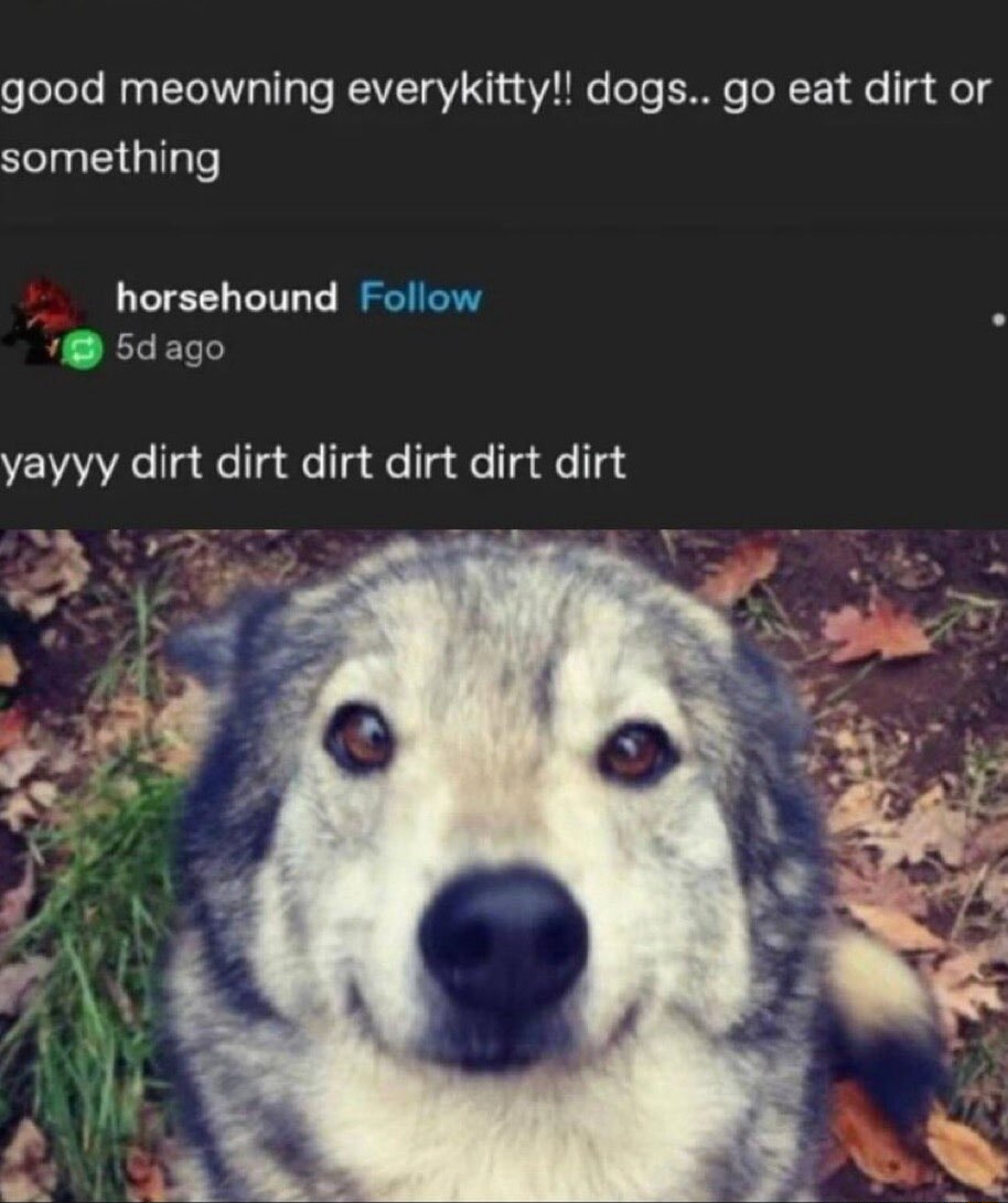 ​​​