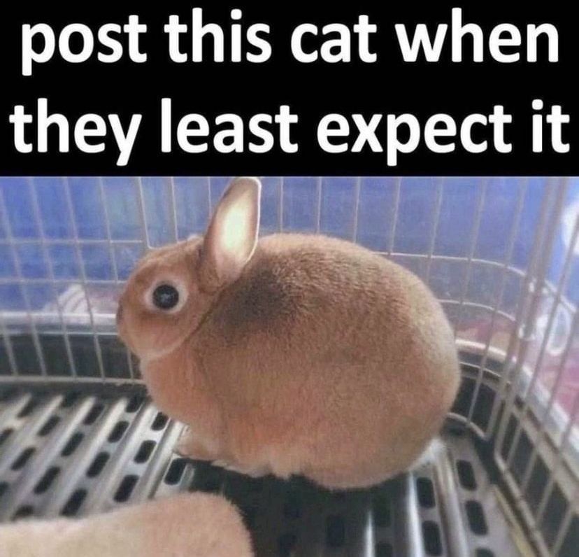 ​​​
