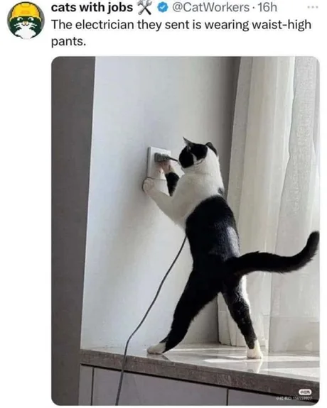 ‎