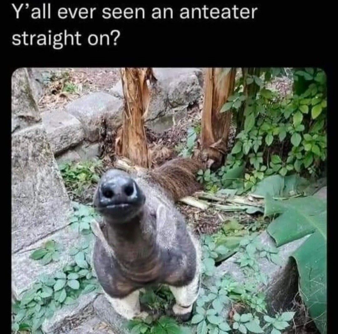 I hate it