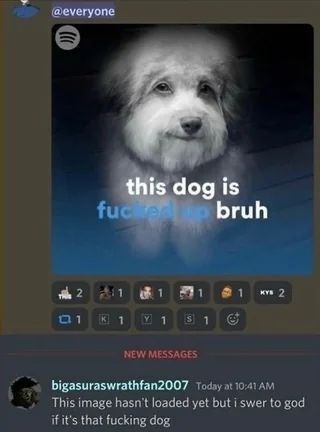 @everyone