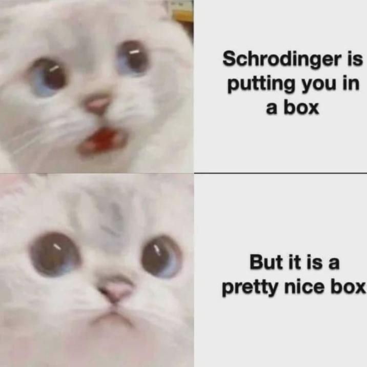 ​​​