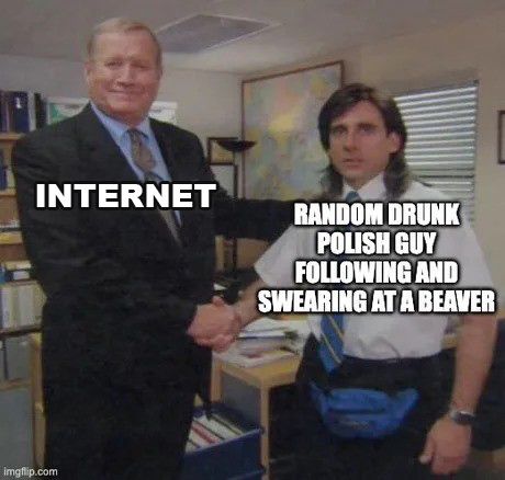 Bober kurwa ja pierdolę