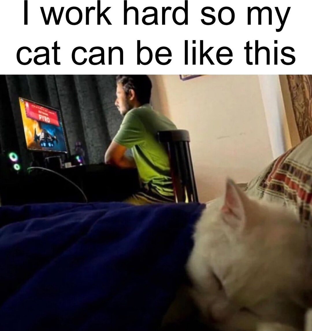 ​​​