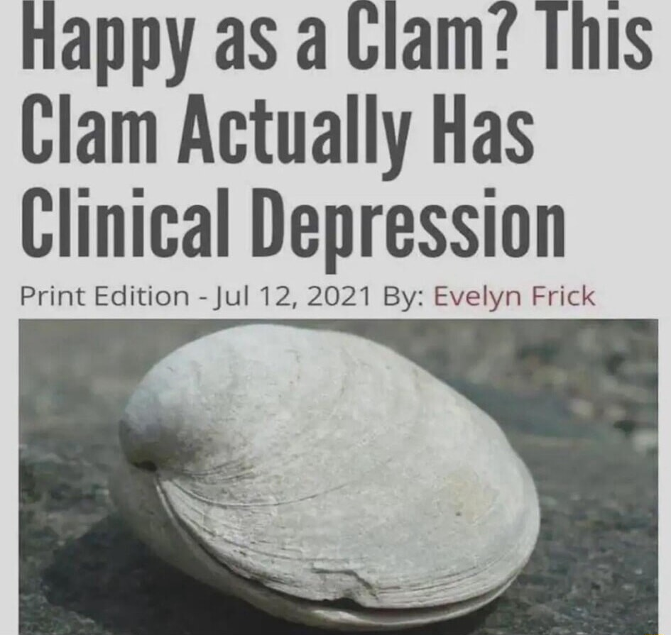 ​​​