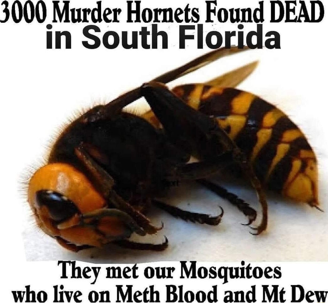 ​​​