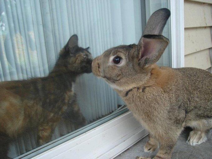 Me and who?