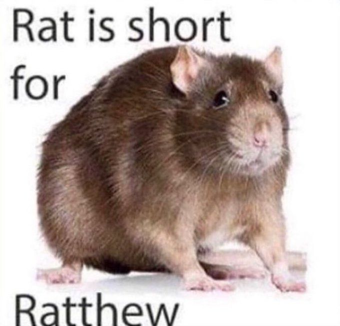 Ratathew