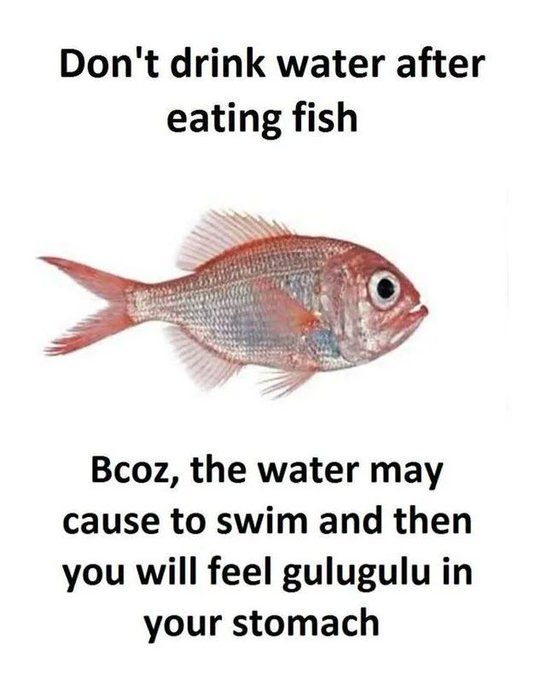 Glugluglu