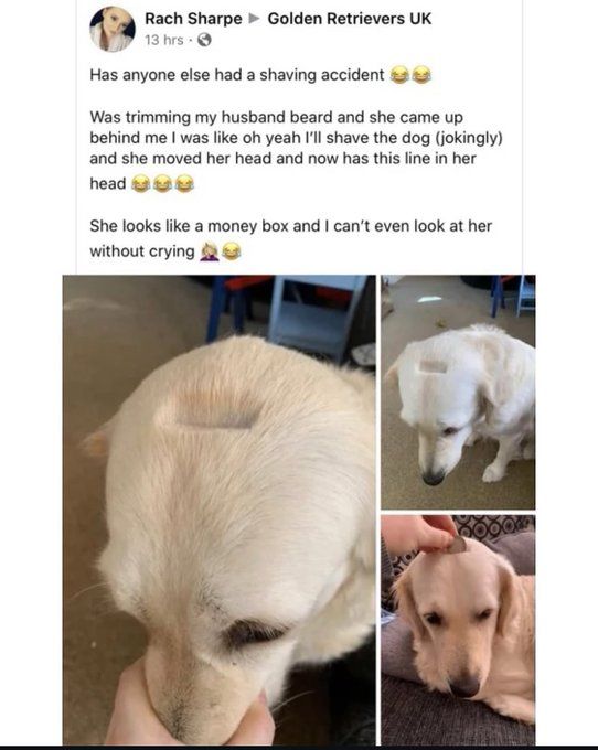 Sad boi