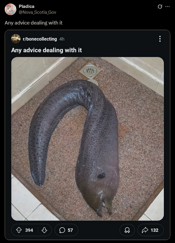 Any advice dealing with it