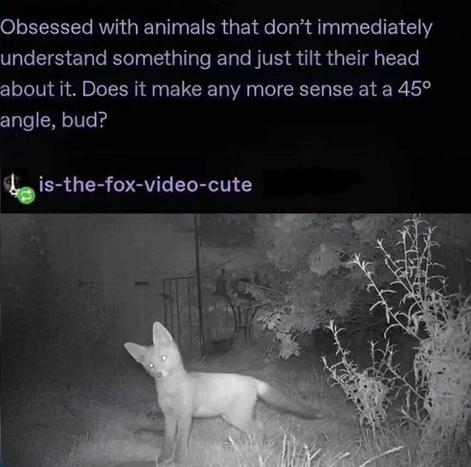 Cute
