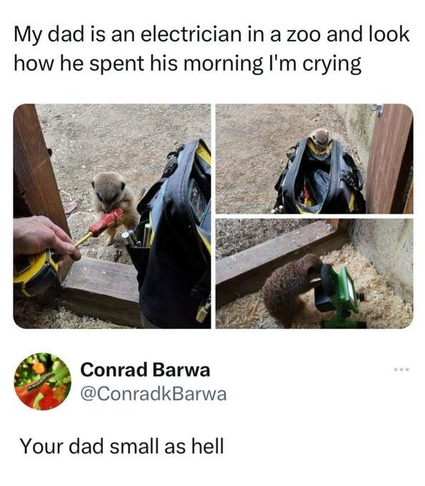 Wholesome dad